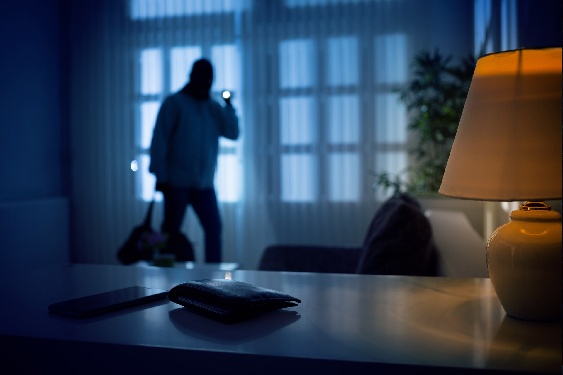 Intruder Alarm Systems